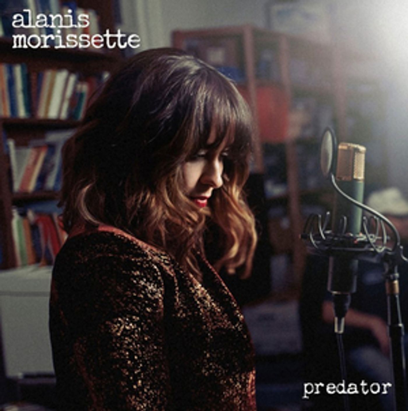 Alanis Morissette Releases Demo Version of 'Predator' From JAGGED LITTLE PILL  Image