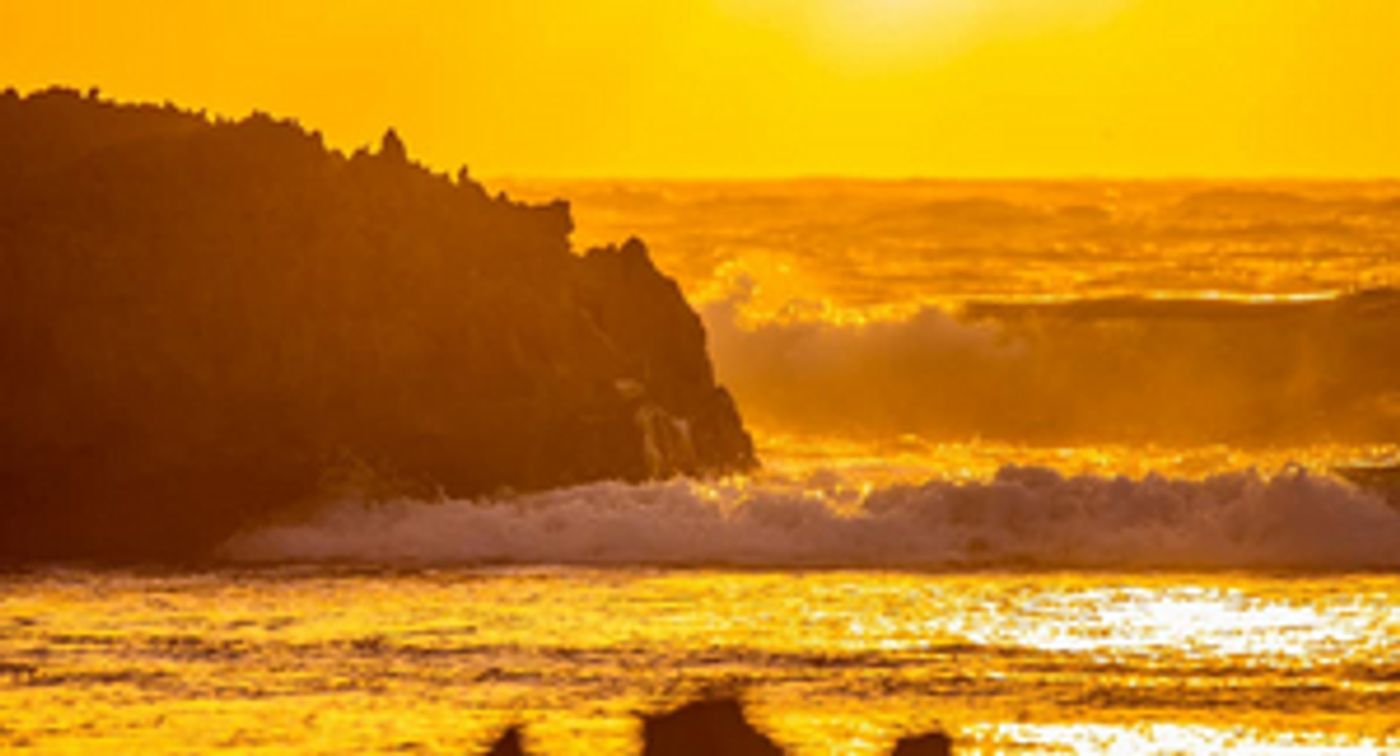 Review: GLITTERING WAVES: ARTARIA LAUNCH CONCERT at North Adelaide Baptist Church  Image