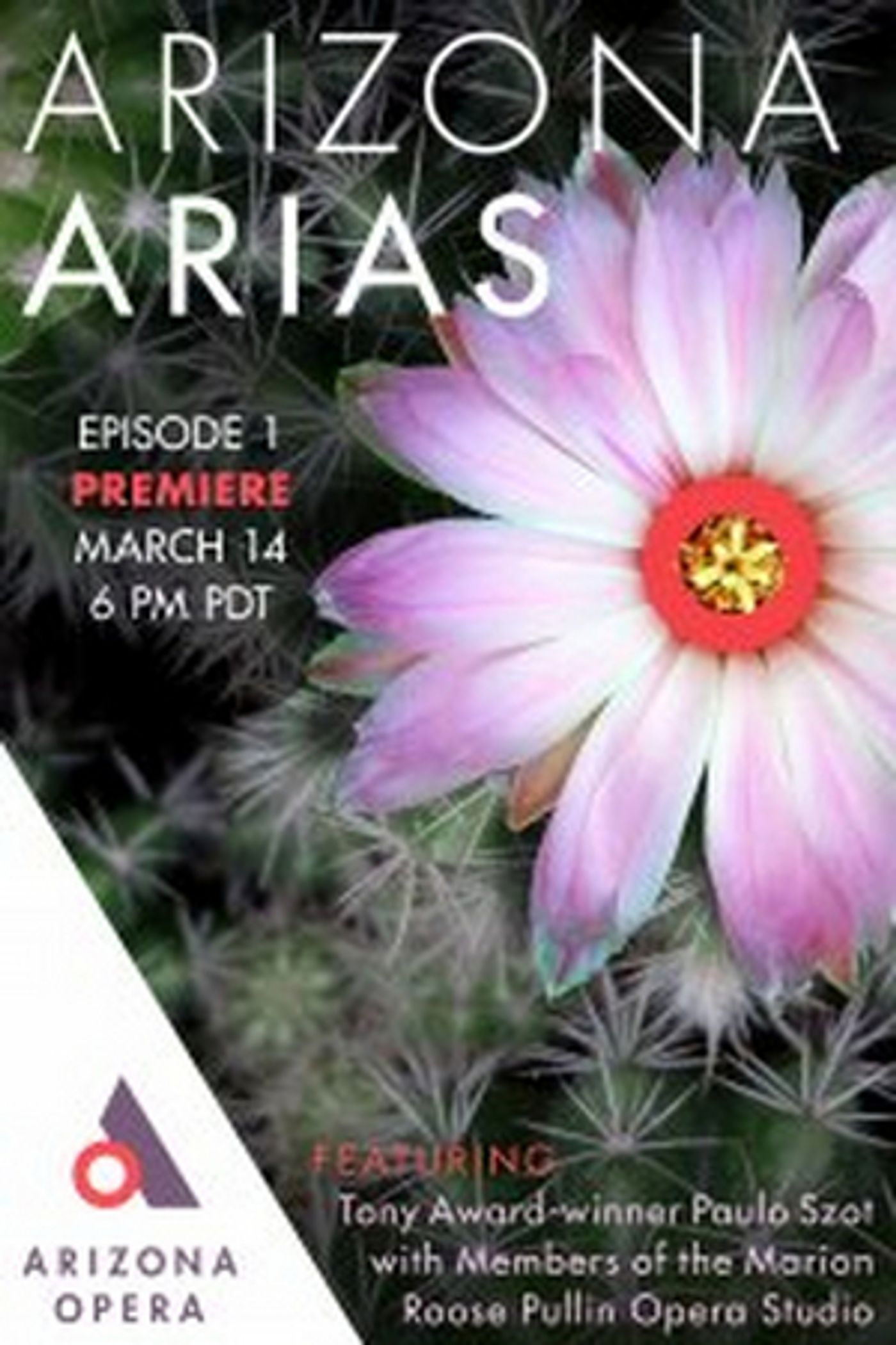 Arizona Opera Announces ARIZONA ARIAS Series Arizona Opera Announces ARIZONA ARIAS Series Image