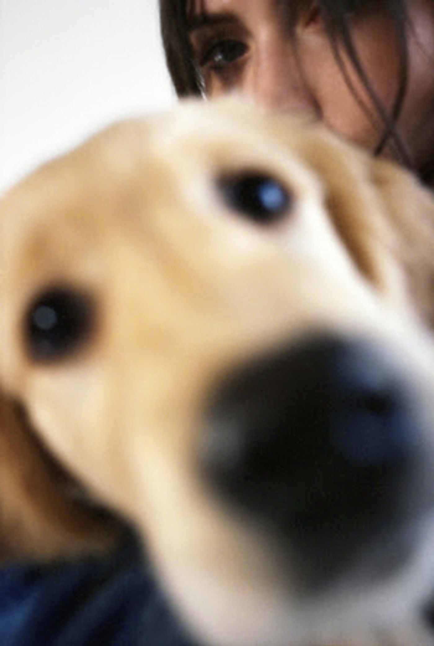 Doss Returns With New Single 'Puppy' Doss Returns With New Single 'Puppy' Image