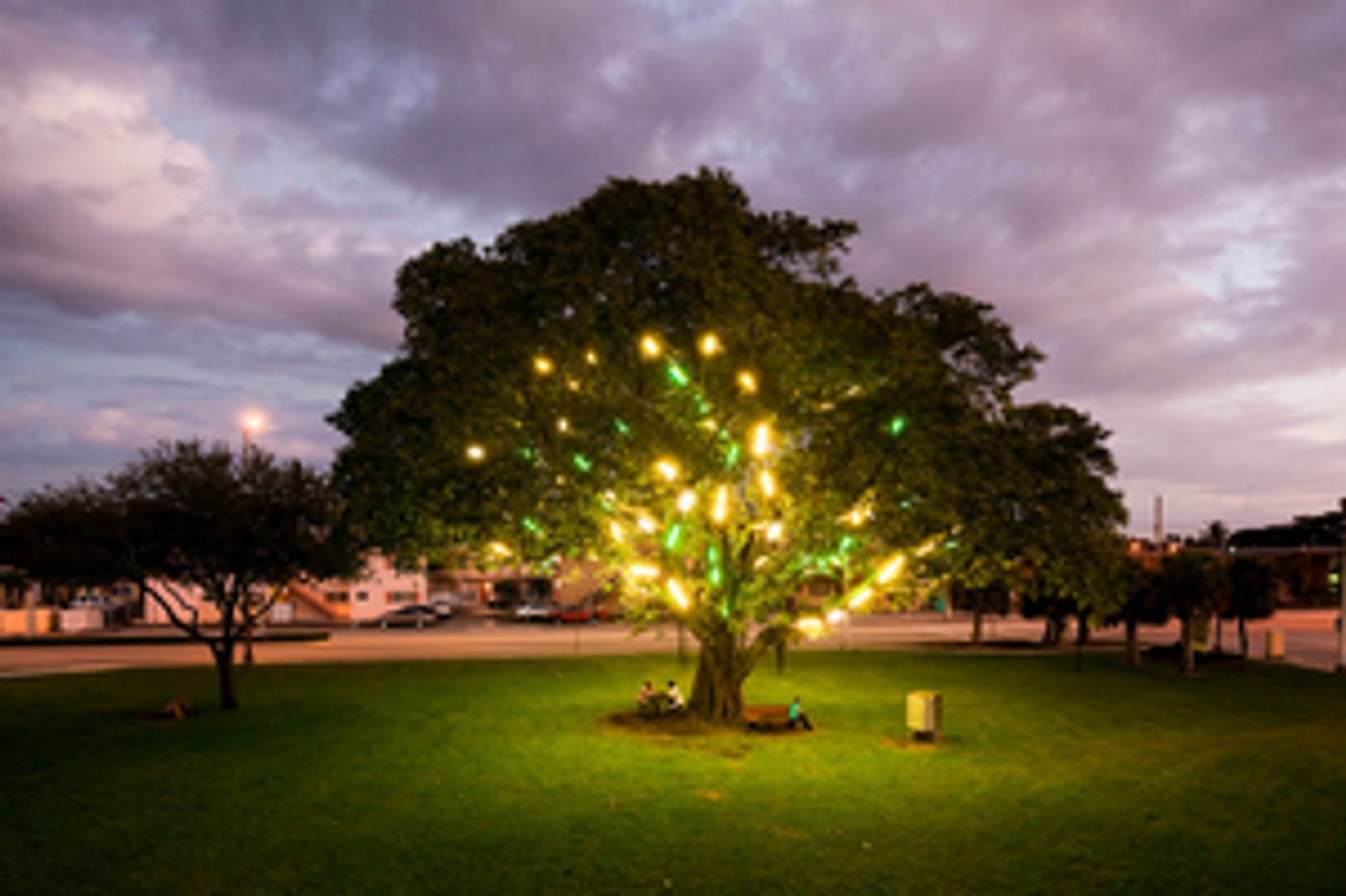 Museum of Contemporary Art, North Miami Restores 'Electric Tree' Public Artwork  Image