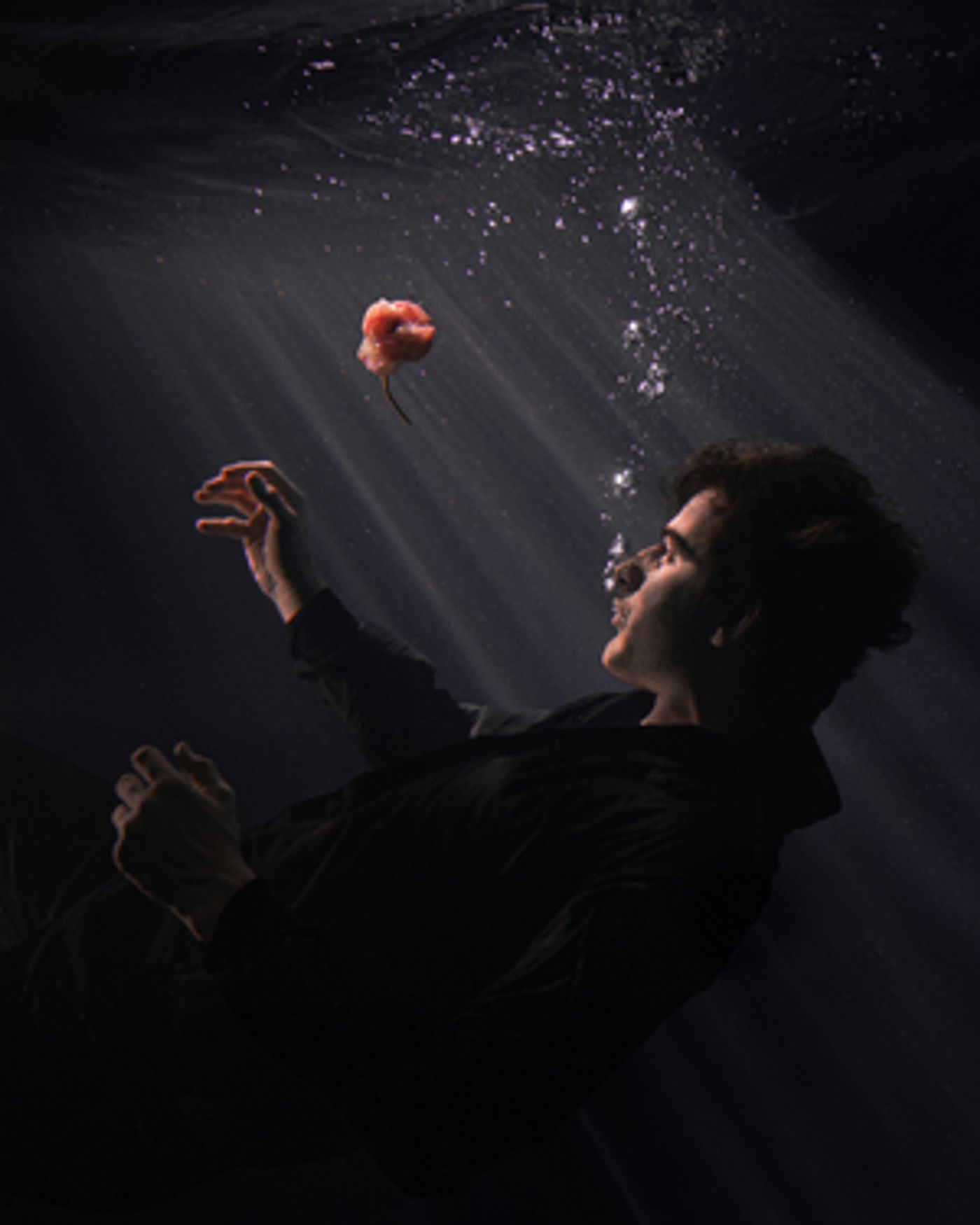 Dimension Unleashes His Debut Album 'Organ' Dimension Unleashes His Debut Album 'Organ' Image