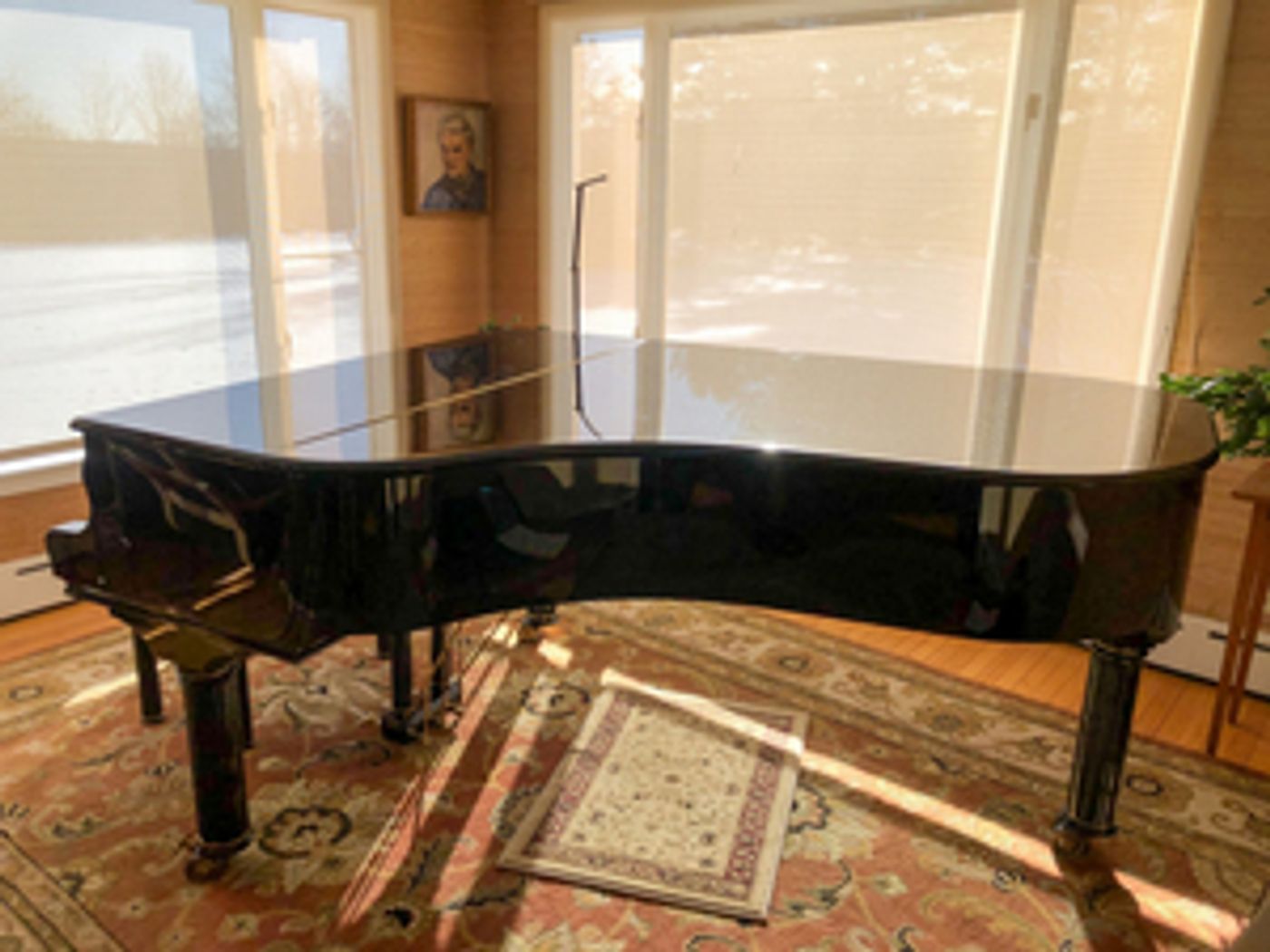 Family Auctions Special Edition Piano For Bangor Symphony Youth Orchestras Benefit Family Auctions Special Edition Piano For Bangor Symphony Youth Orchestras Benefit Image