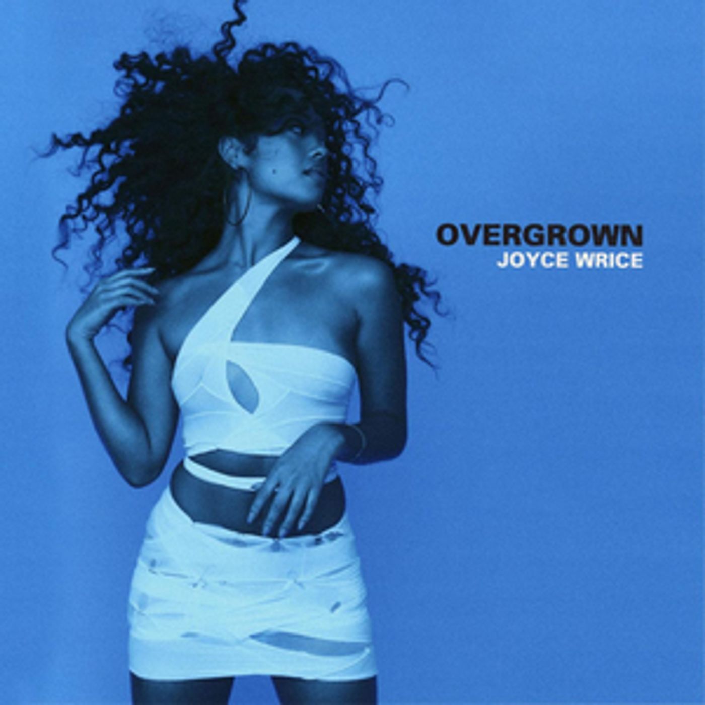 Joyce Wrice Unveils Debut Album 'Overgrown'  Image
