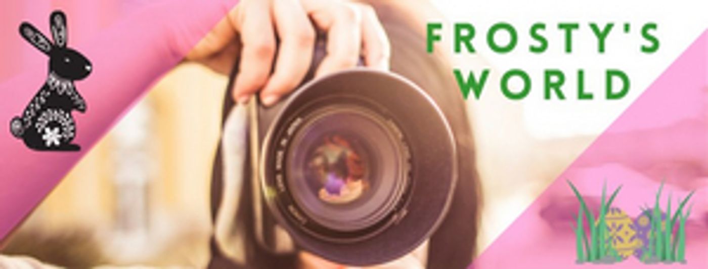 Student Blog: A Swag Bag of Spring Entertainment - Frosty's World 12  Image