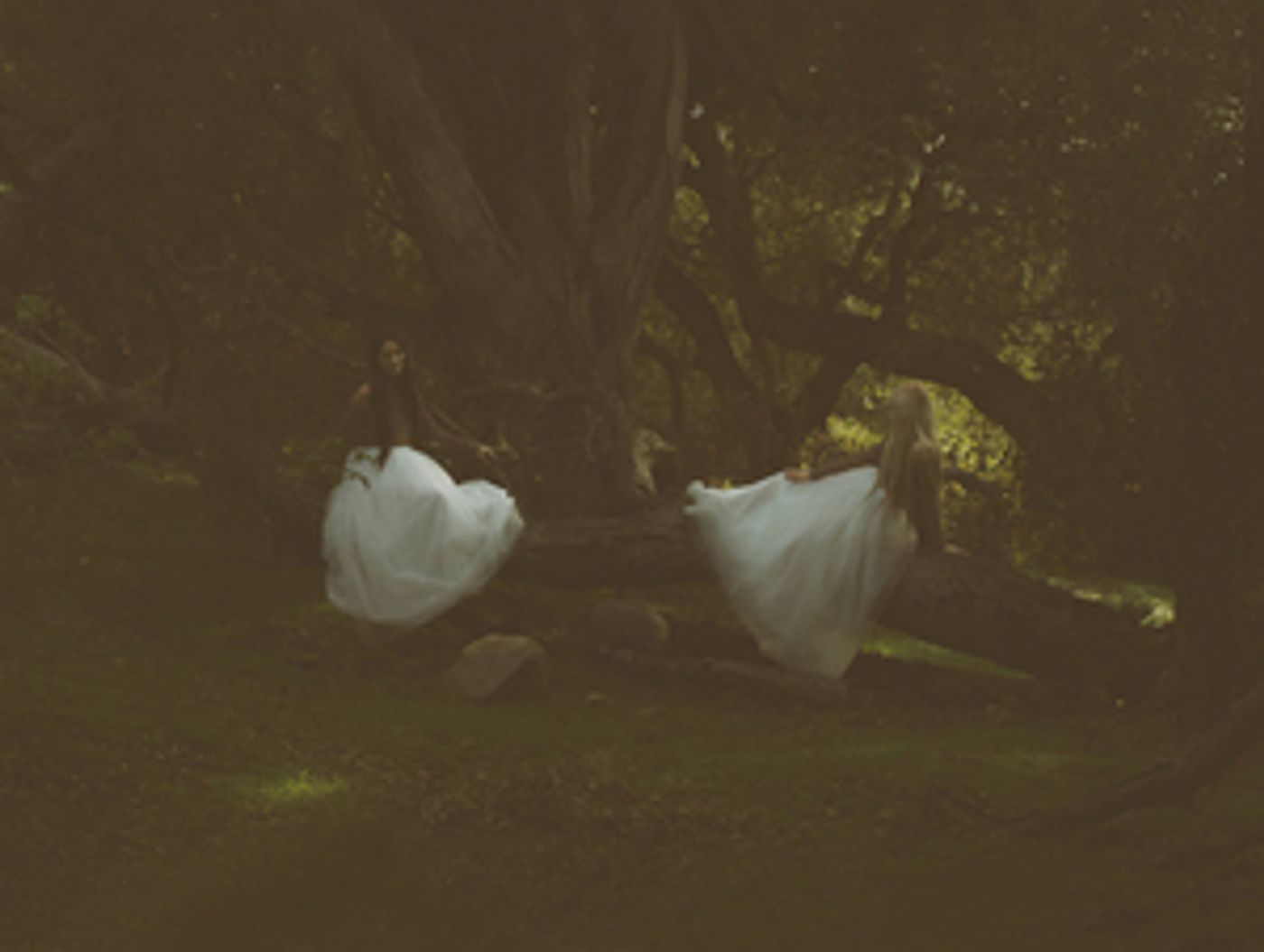 Azure Ray Announce First New Full-Length Album In 10 Years  Image