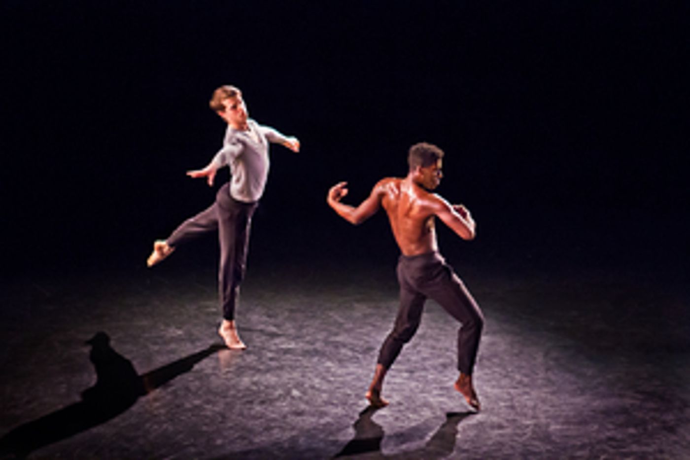 Martha Graham Dance Company Announces GrahamFest95  Image