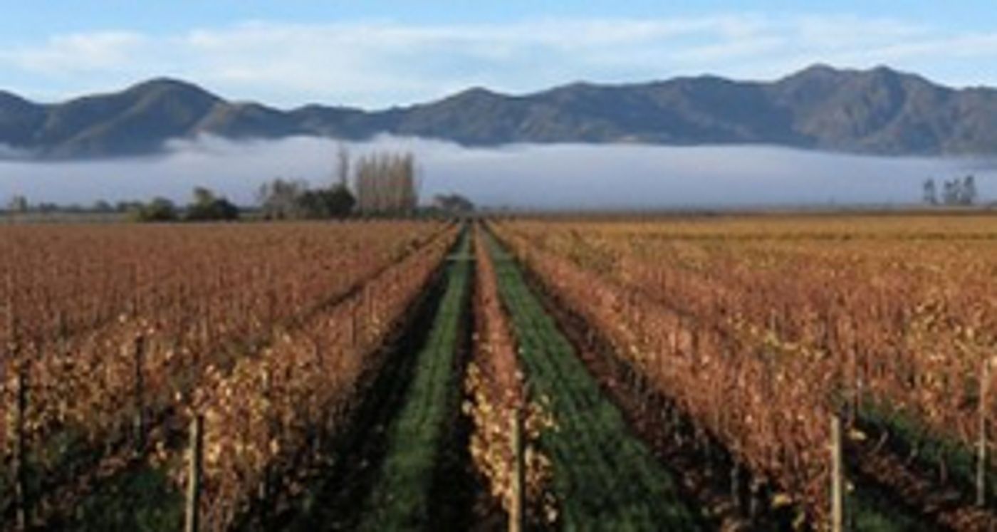 LOS VASCOS Wines are Sure to Please  Image