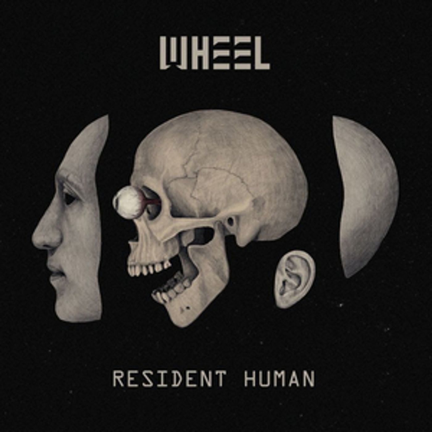 Wheel Release Stunning New Album 'Resident Human'  Image