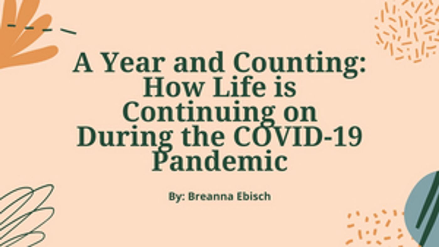 Student Blog: A Year and Counting Student Blog: A Year and Counting Image