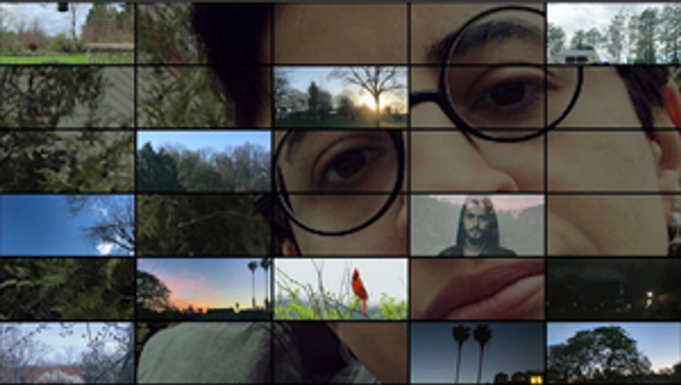 INTERNATIONAL DAWN CHORUS DAY Premieres April 29  Image