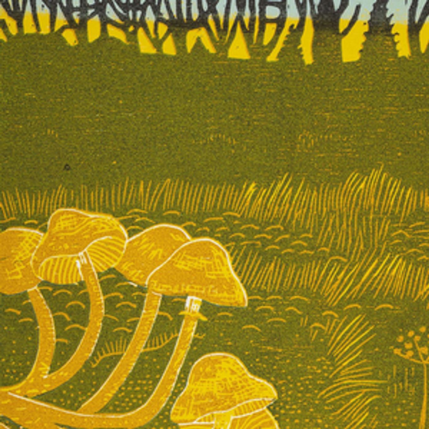 Rural Tapes Announces Self-Titled Debut Album  Image