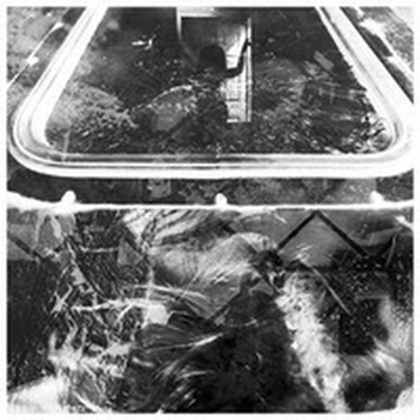 Keeton Coffman Releases New Single 'Wounded Heart'  Image