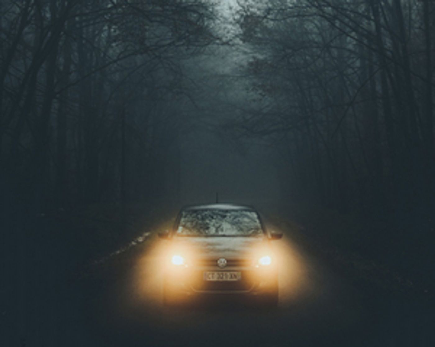 EgoPo Presents Adam Rapp's NOCTURNE As An Immersive Drive-in Theatrical Event  Image