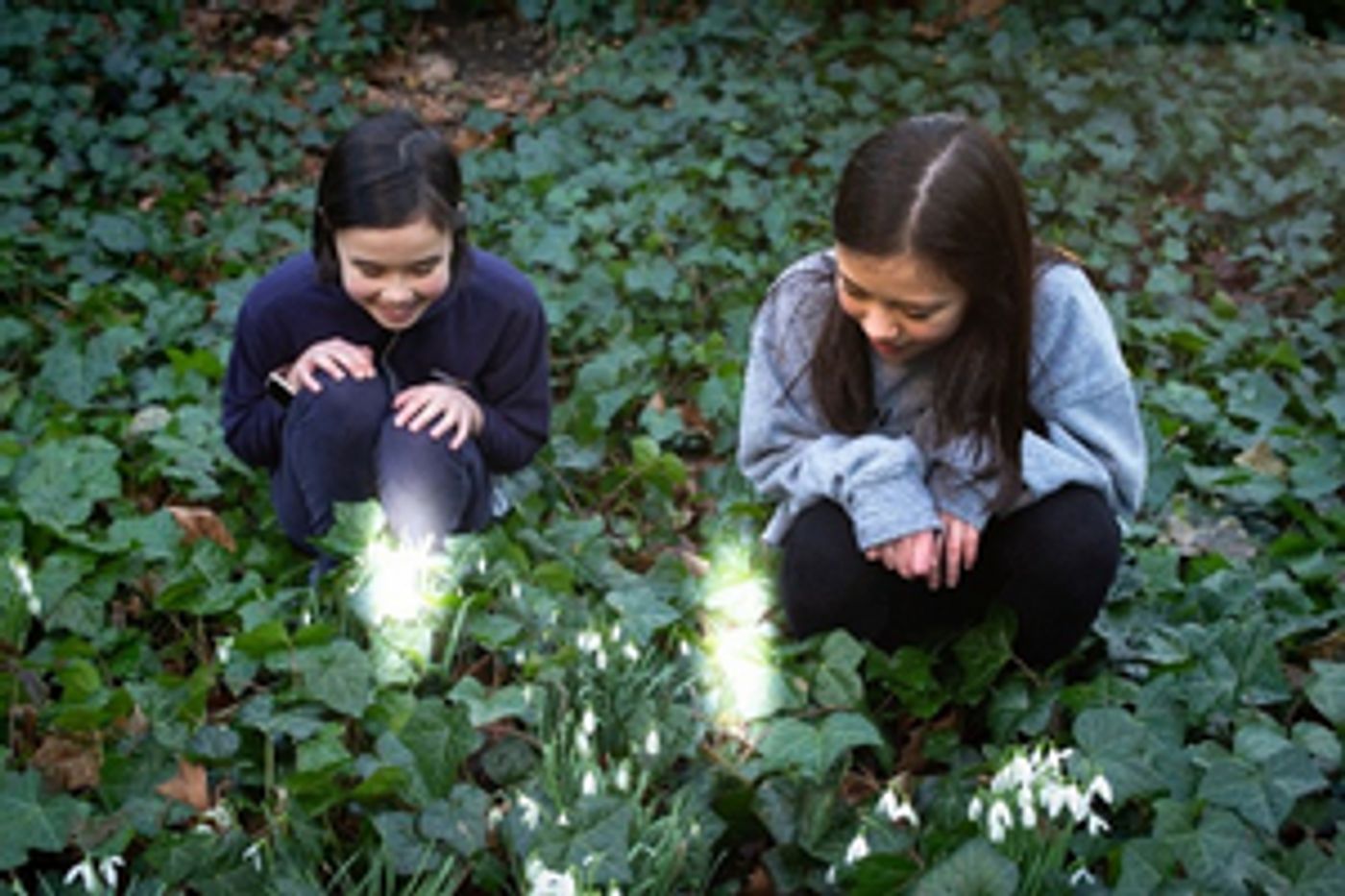 Theatre Artist Come Together to Creative Immersive Theatrical Experience TITANIA'S DREAM  Image