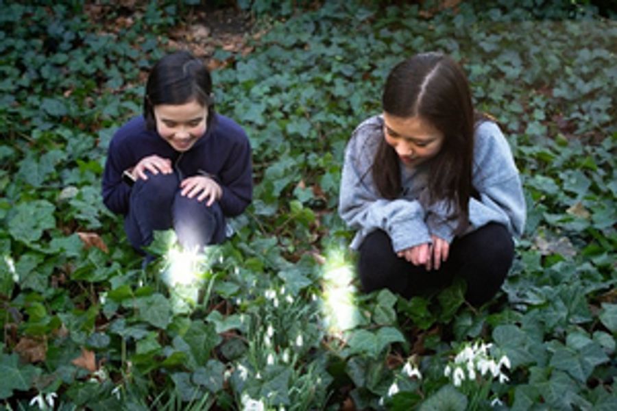 Theatre Artist Come Together to Creative Immersive Theatrical Experience TITANIA'S DREAM Image
