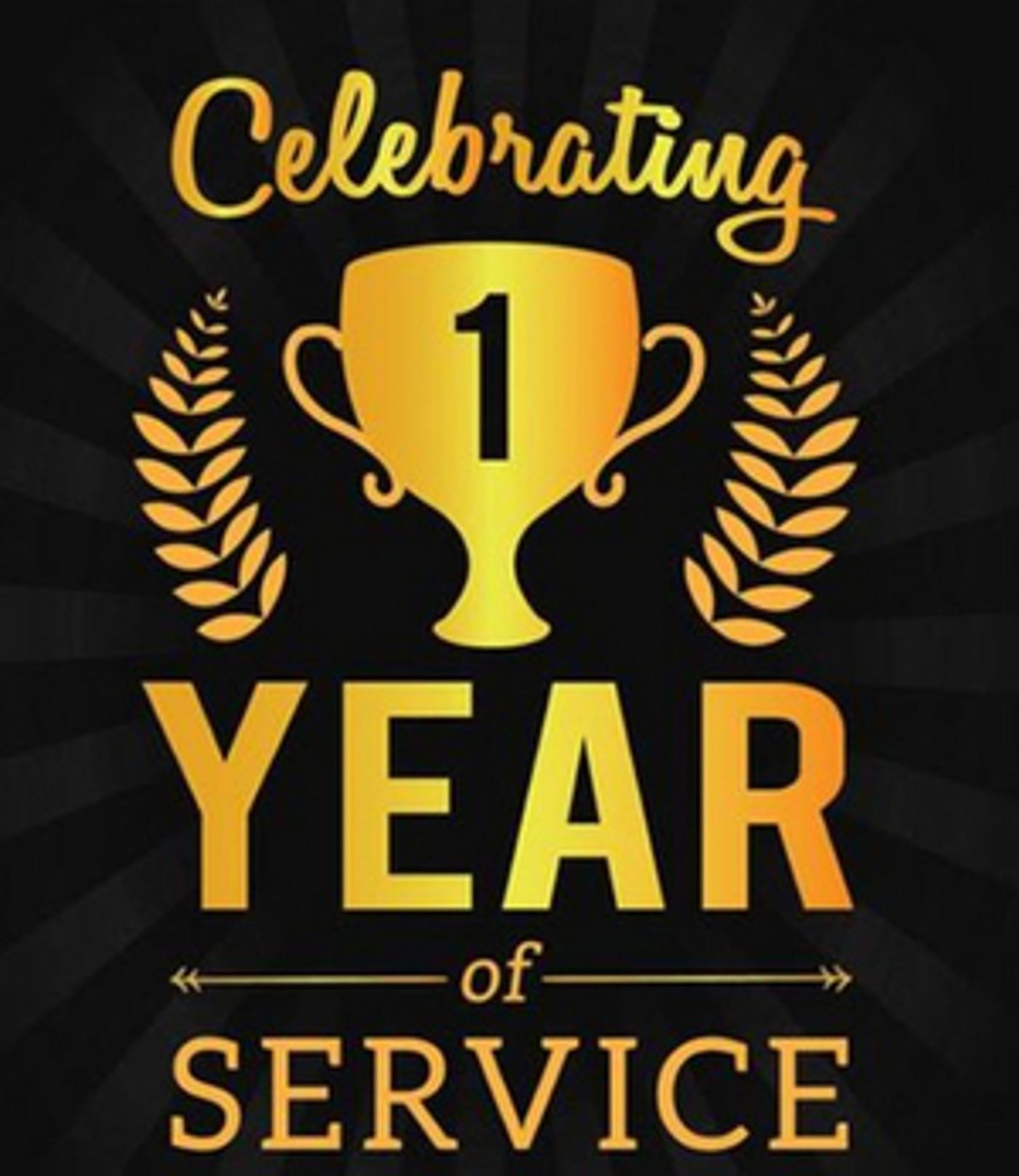 MetropolitanZoom Presents One Year Anniversary Show  Image