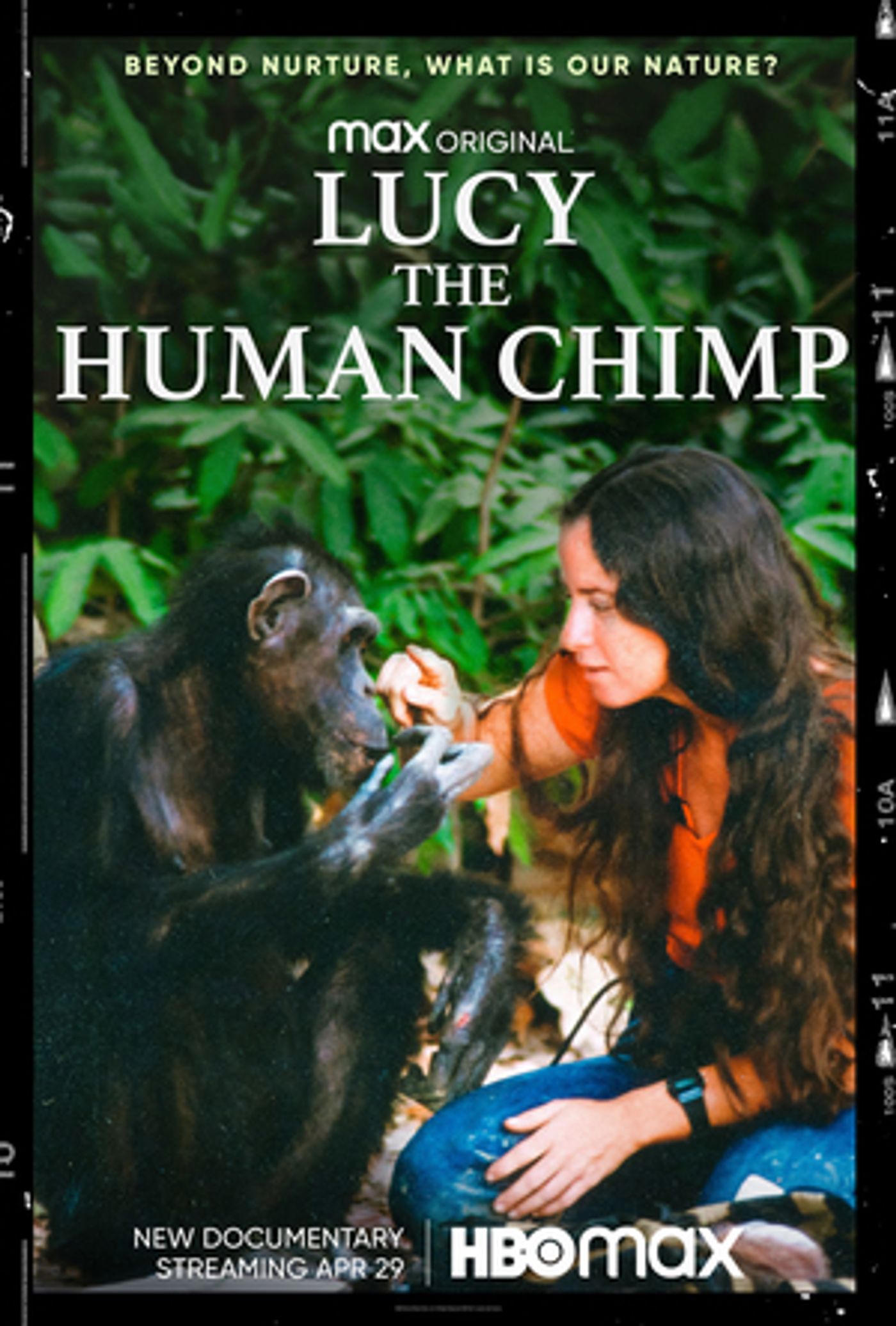 Documentary Feature LUCY THE HUMAN CHIMP To Stream In The U.S. Exclusively On HBO Max Documentary Feature LUCY THE HUMAN CHIMP To Stream In The U.S. Exclusively On HBO Max Image