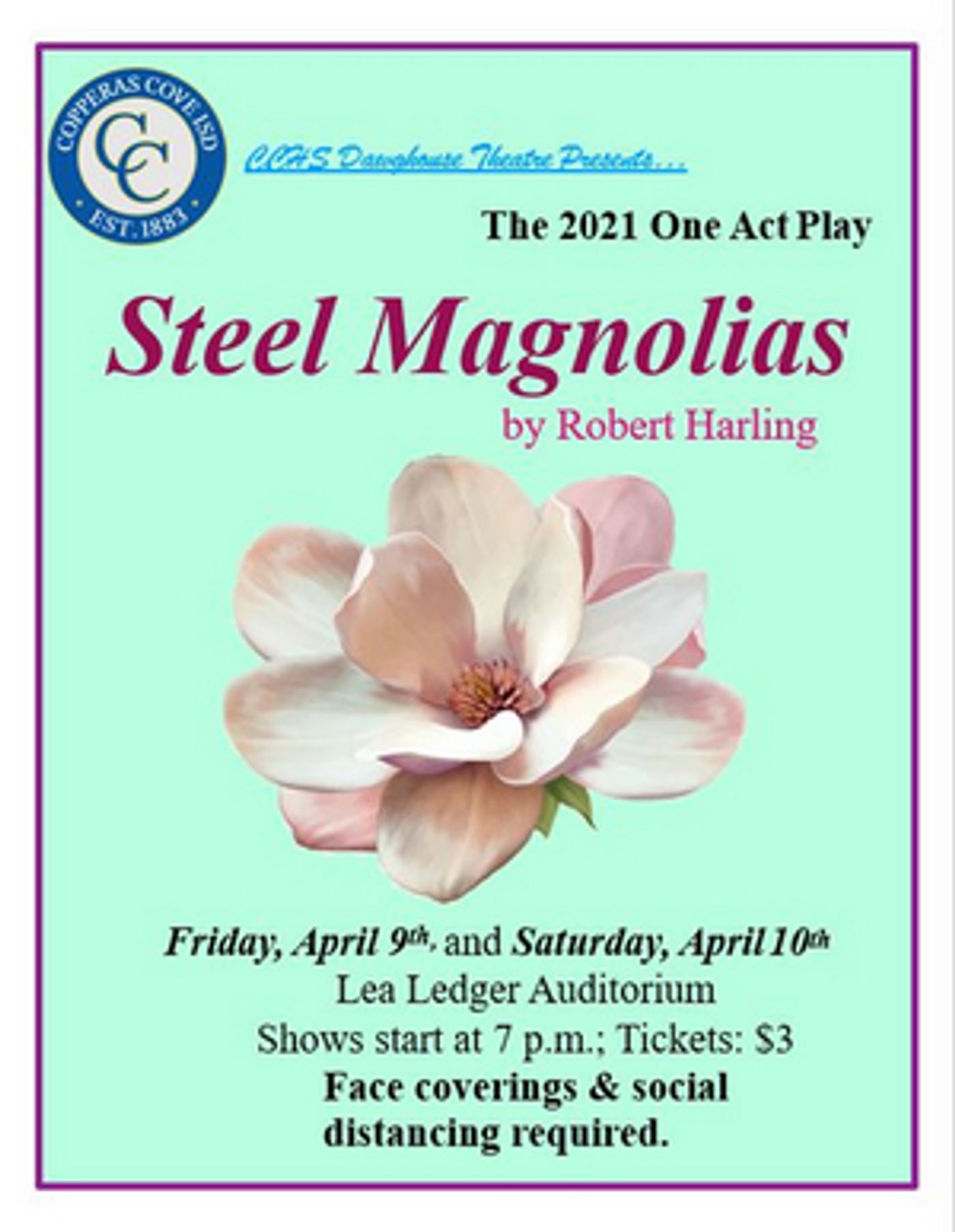 STEEL MAGNOLIAS Comes to CCHS Dawghouse Theatre Tonight  Image