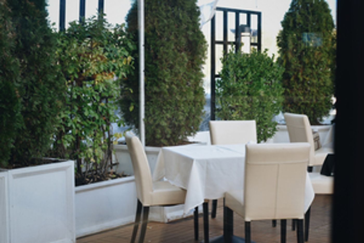 Three Long Island Dining Destinations, LIMANI, PRIME 1024 AND ONIRO TAVERNA Three Long Island Dining Destinations, LIMANI, PRIME 1024 AND ONIRO TAVERNA Image