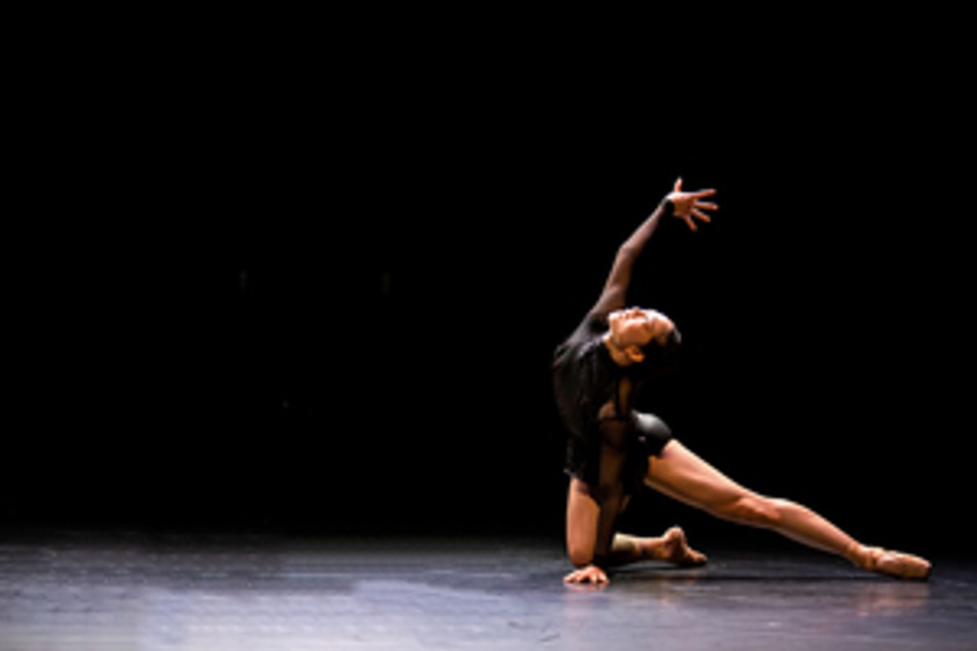 Ballet Edmonton's Digital Debut of PERSISTENCE OF MEMORY to be Presented by Brian Webb Dance Company  Image