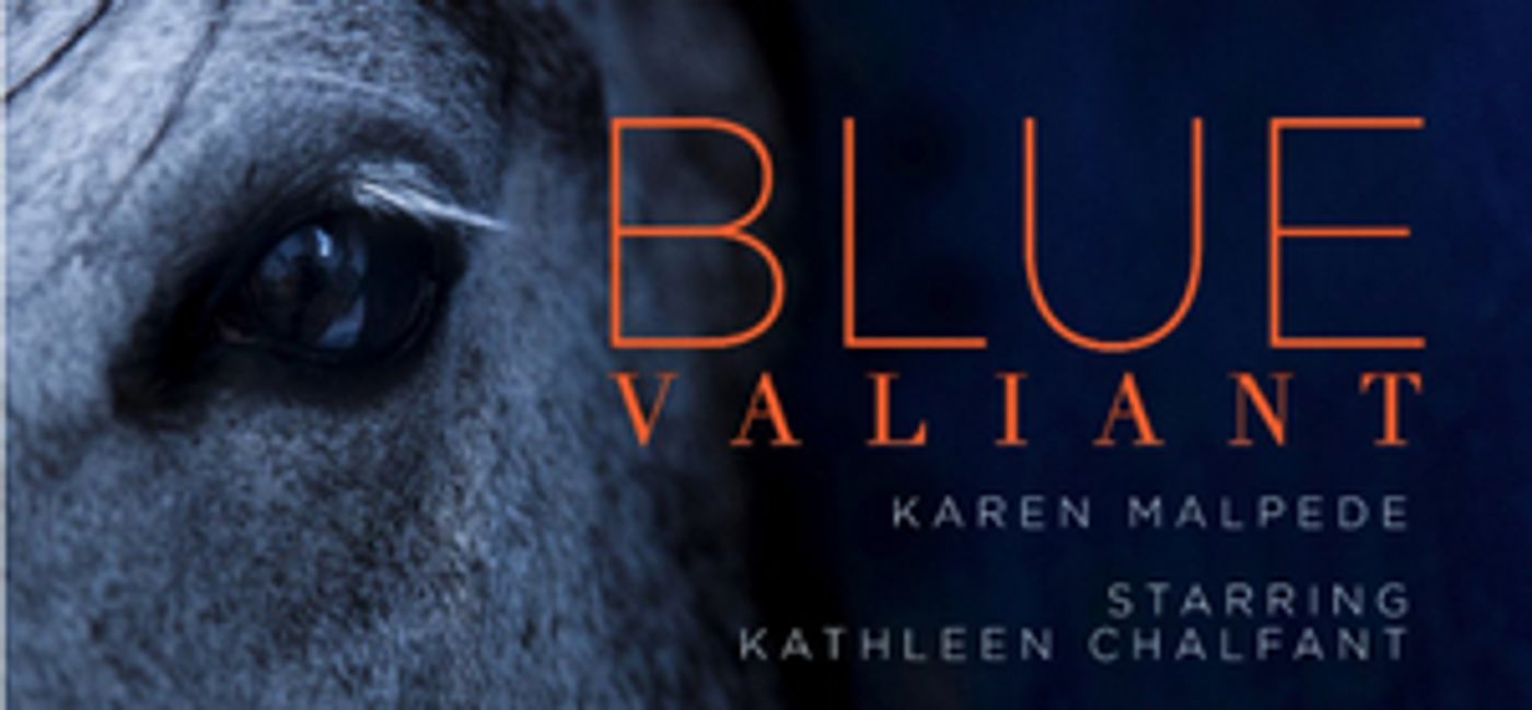 Kathleen Chalfant and George Bartenieff to Star in World Premiere of BLUE VALIANT  Image