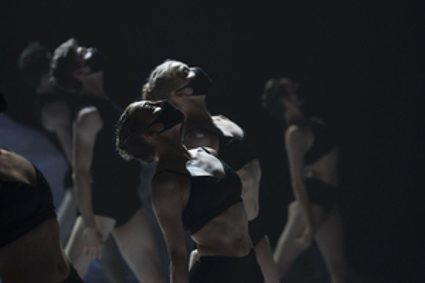 Louisville Ballet Presents Stravinsky's THE RITES OF SPRING Via Digital Performance Louisville Ballet Presents Stravinsky's THE RITES OF SPRING Via Digital Performance Image