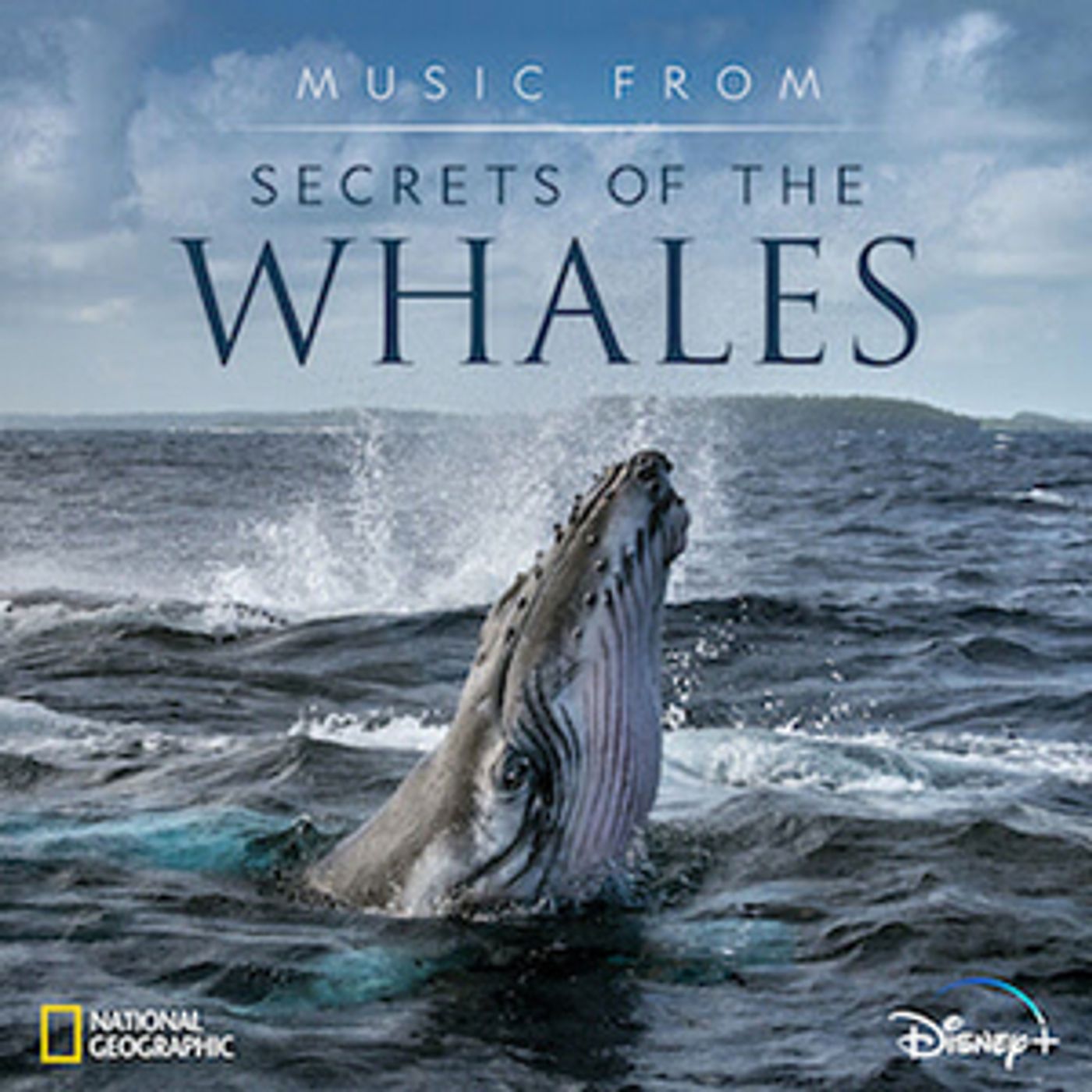 Music From SECRETS OF THE WHALES Available Today  Image
