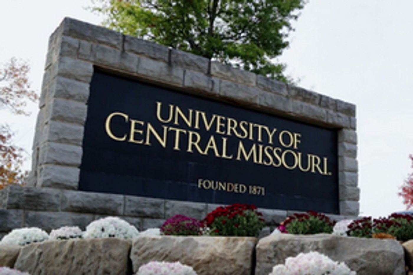 Student Blog: Reflecting on the Strangest School Year Ever  Image