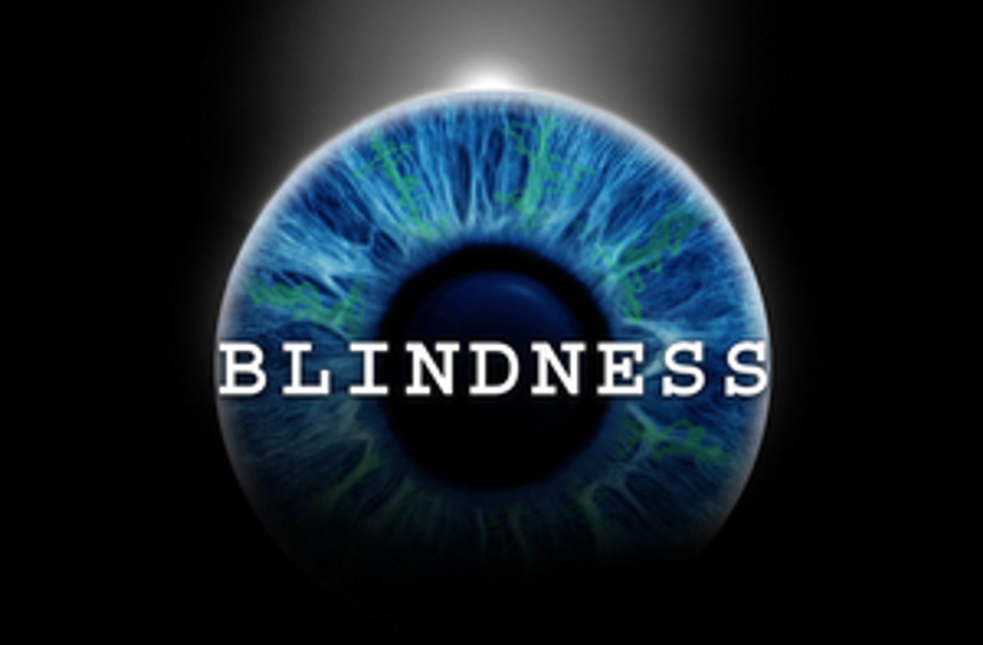 BLINDNESS Adds More Performance Times at The Daryl Roth Theatre  Image