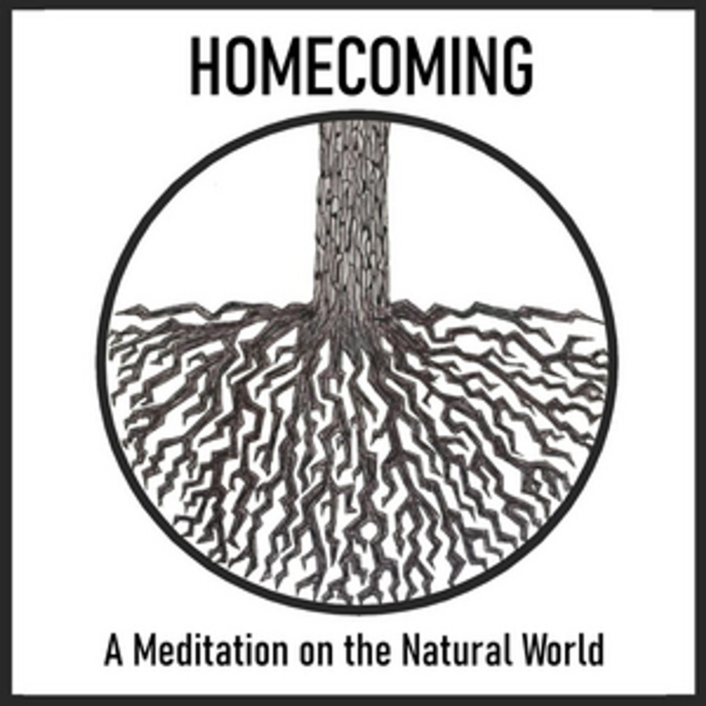 Review: HOMECOMING: A MEDITATION ON THE NATURAL WORLD from TurnKey Theatre  Image
