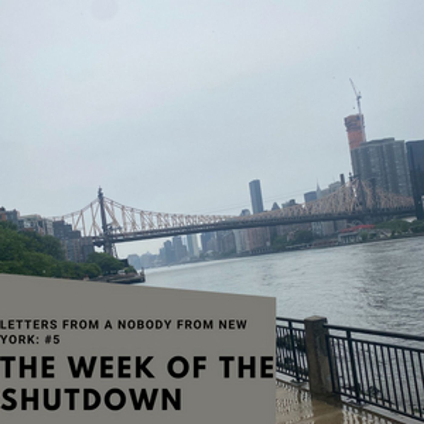 Student Blog: Letters from a Nobody in New York #5: Snapshots of The Week of the Shutdown  Image