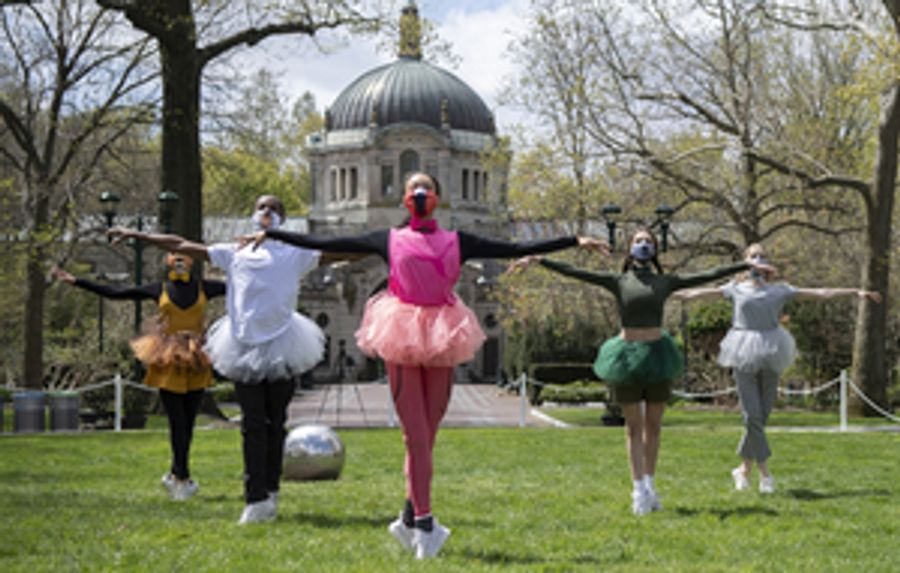 WATCH: NYC Ballet Dancers Perform at the Bronx Zoo For Earth Day Image