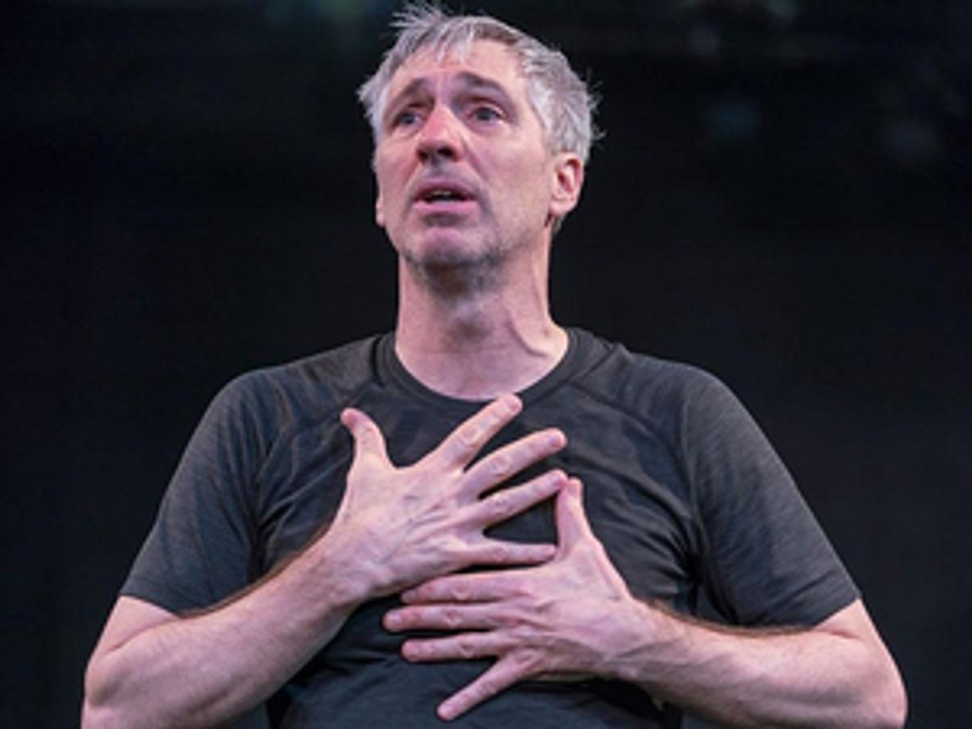 Elm Shakespeare Company Announces 'Special Edition' of Summer Shakespeare in Edgerton Park  Image