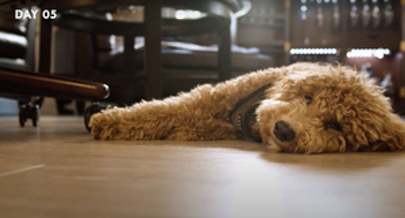 Vision Films to Release Pandemic Made Feature Film Anthology AFTER MASKS Vision Films to Release Pandemic Made Feature Film Anthology AFTER MASKS Image