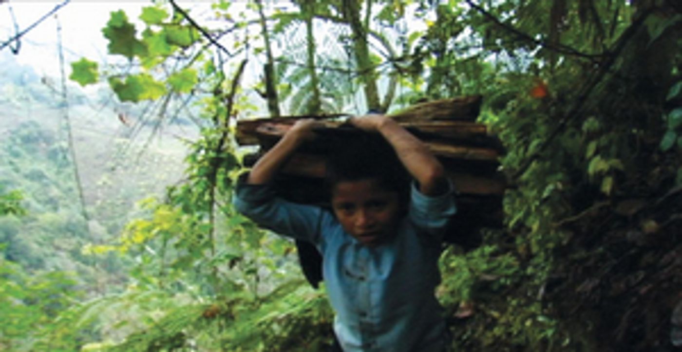 OVID Announces the Exclusive Streaming Premiere of the Complete Filmography of Eugenio Polgovsky OVID Announces the Exclusive Streaming Premiere of the Complete Filmography of Eugenio Polgovsky Image