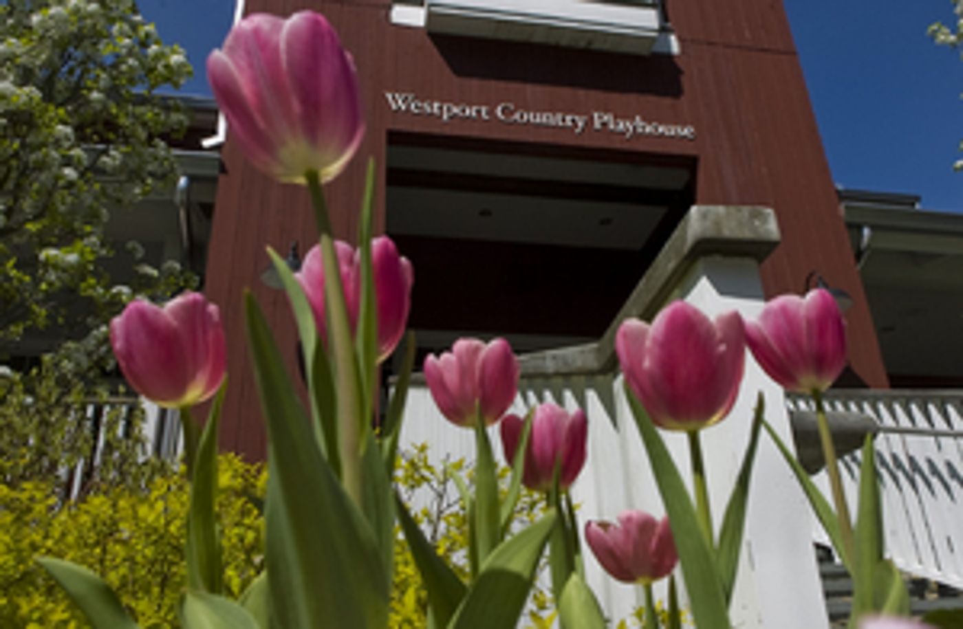 Single Tickets to Go On Sale in May for Westport Country Playhouse 2021 All-Virtual Season Single Tickets to Go On Sale in May for Westport Country Playhouse 2021 All-Virtual Season Image