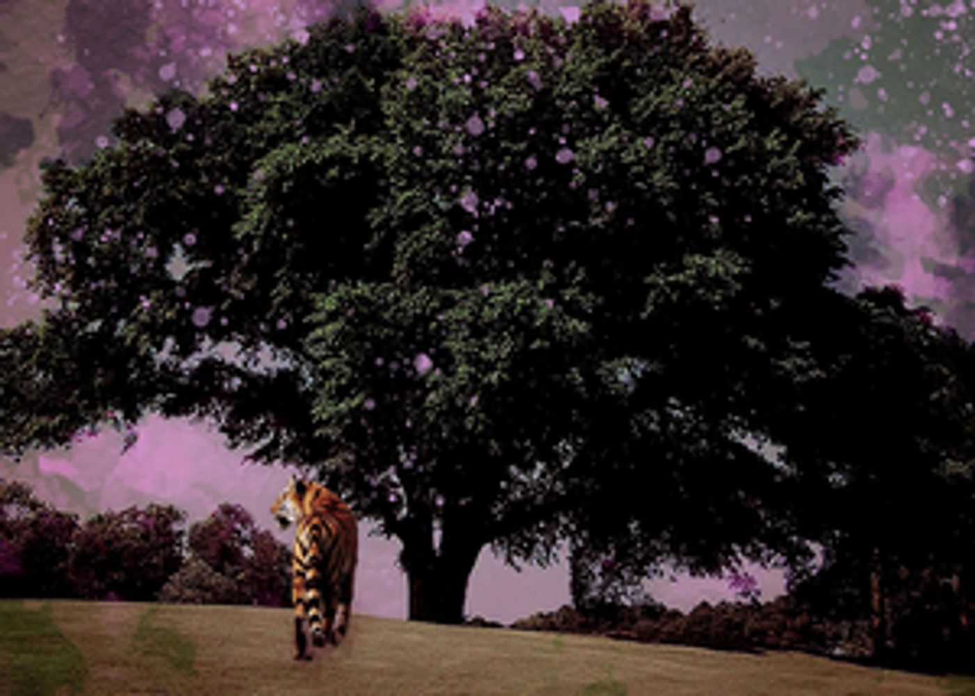 THE MONTH OF MODERNS 2021 to be Presented by The Crossing and the Annenberg Center  Image