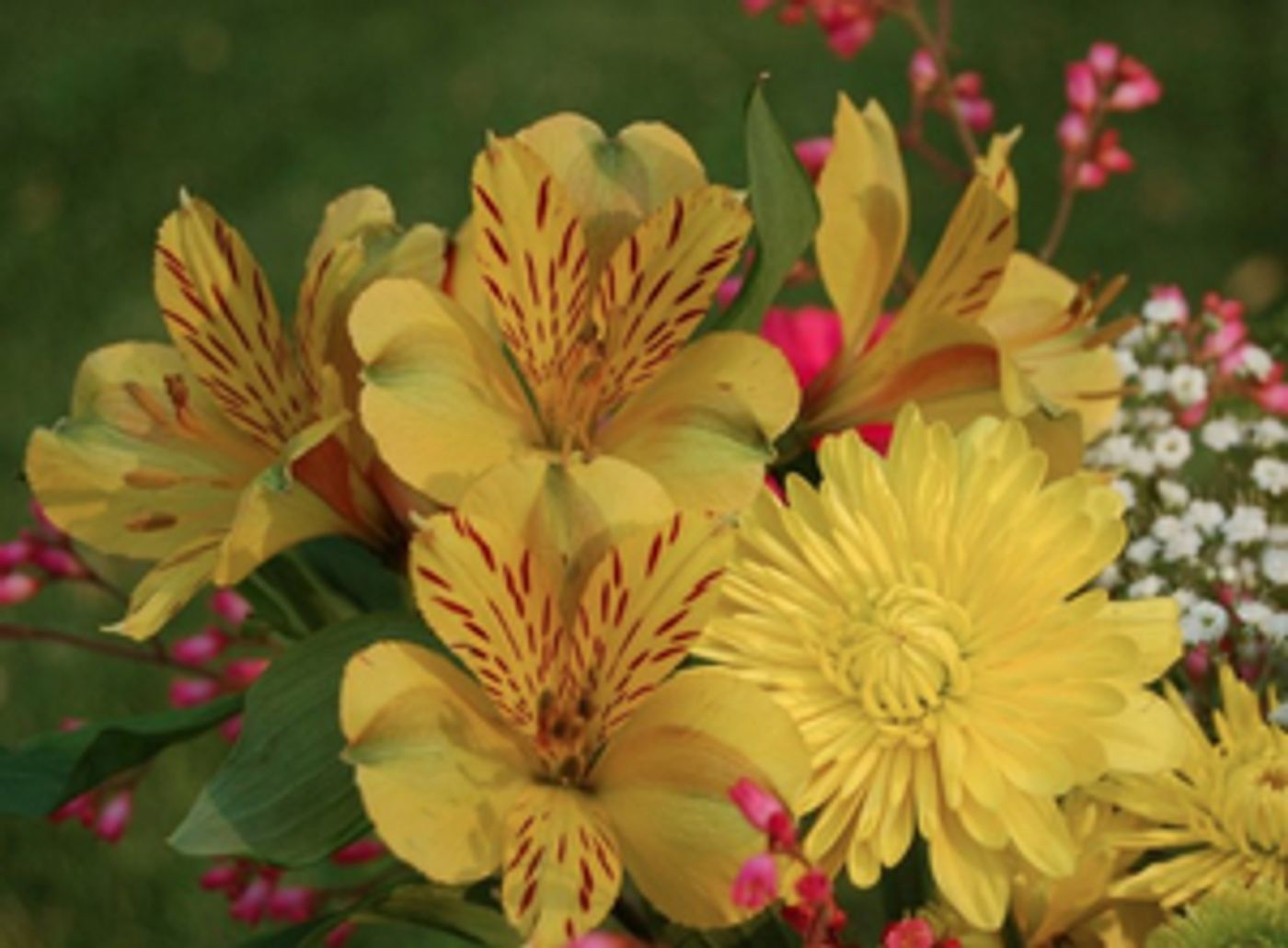 MORE FOR MOM-Purchase and Send the Best Gifts with Love MORE FOR MOM-Purchase and Send the Best Gifts with Love Image