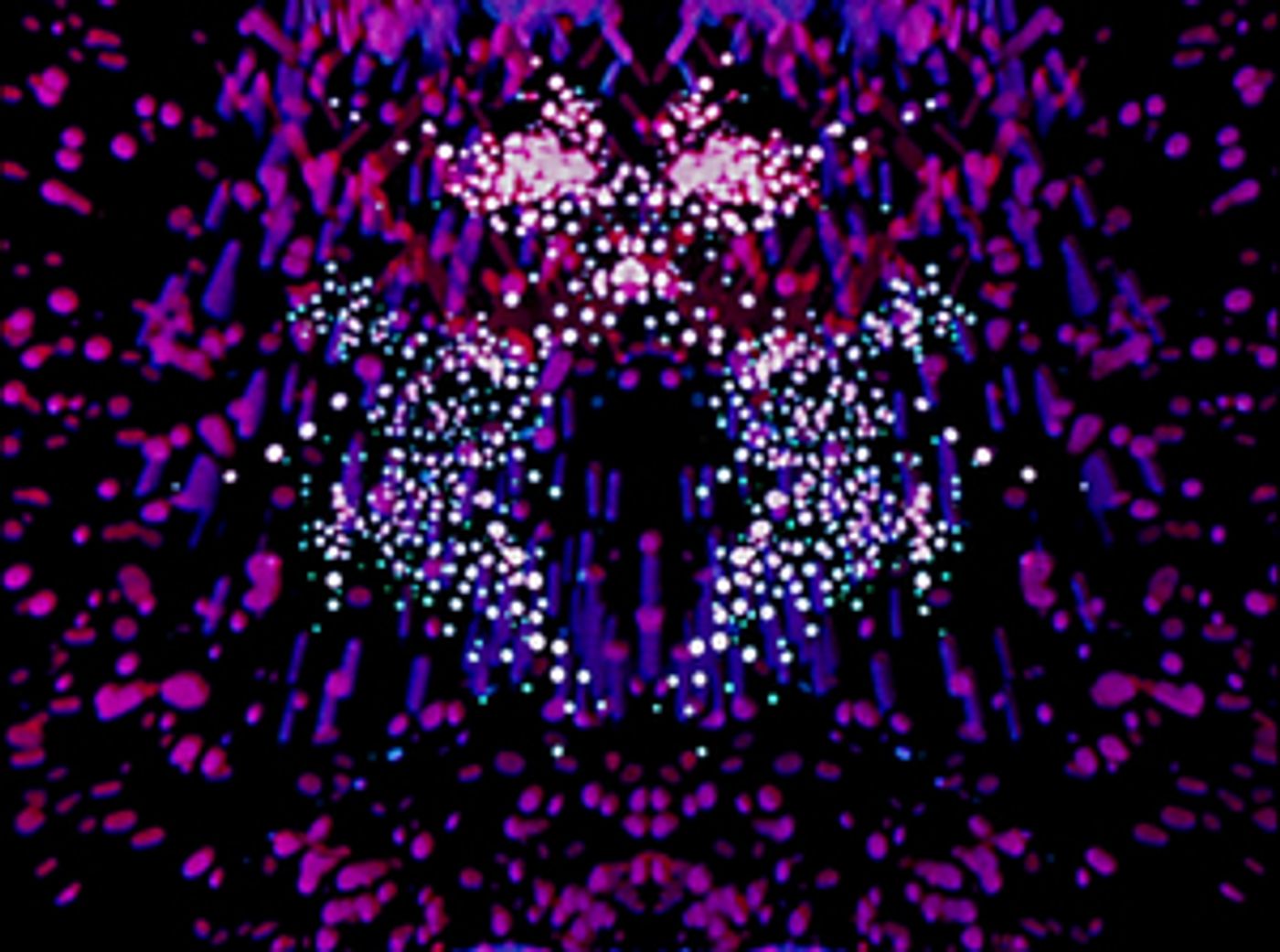 MoMA Announces NEELON CRAWFORD: FILMMAKER Gallery Exhibition and Virtual Cinema Program MoMA Announces NEELON CRAWFORD: FILMMAKER Gallery Exhibition and Virtual Cinema Program Image