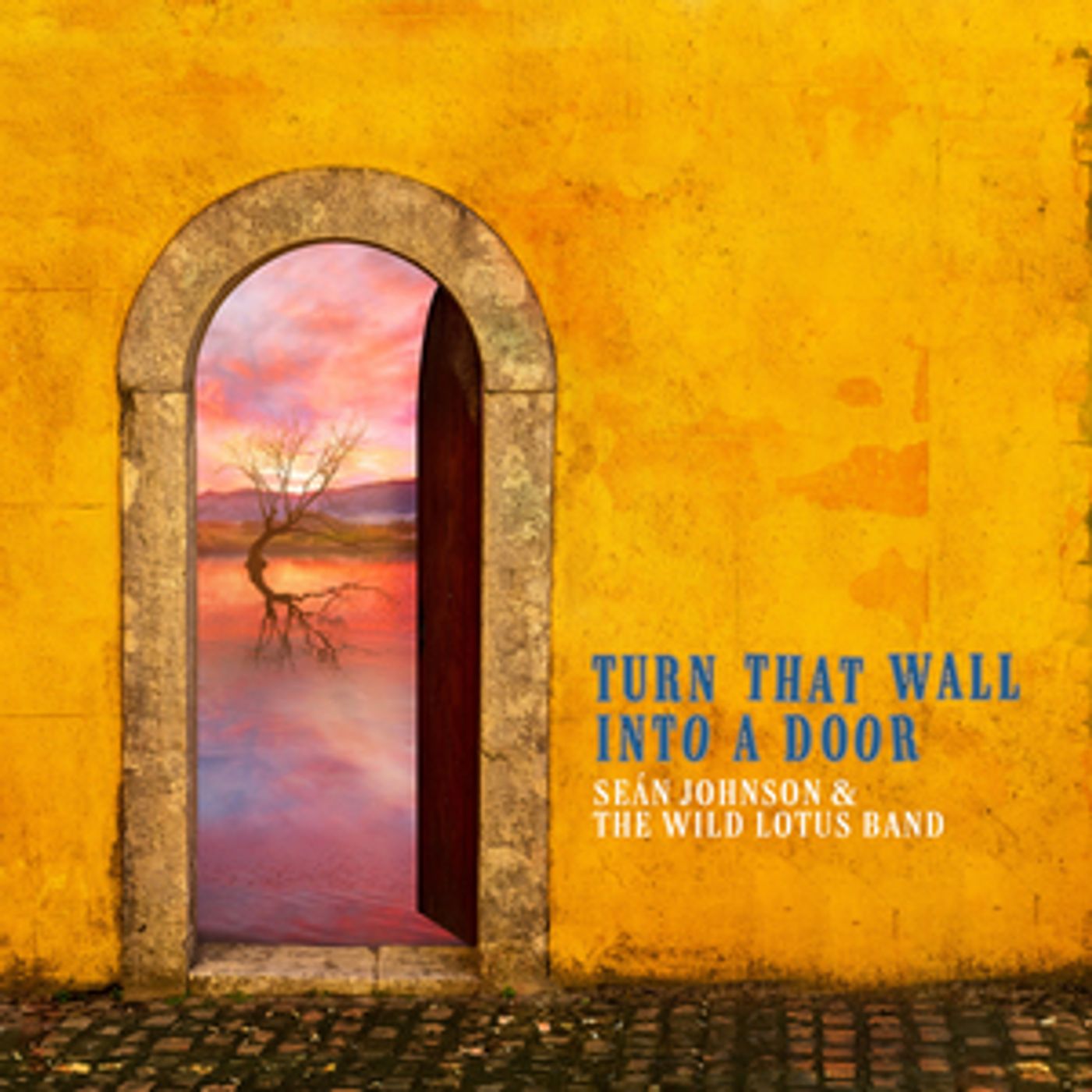 Seán Johnson & The Wild Lotus Band Release 'Turn That Wall Into A Door (Jai Ganesha)'  Image