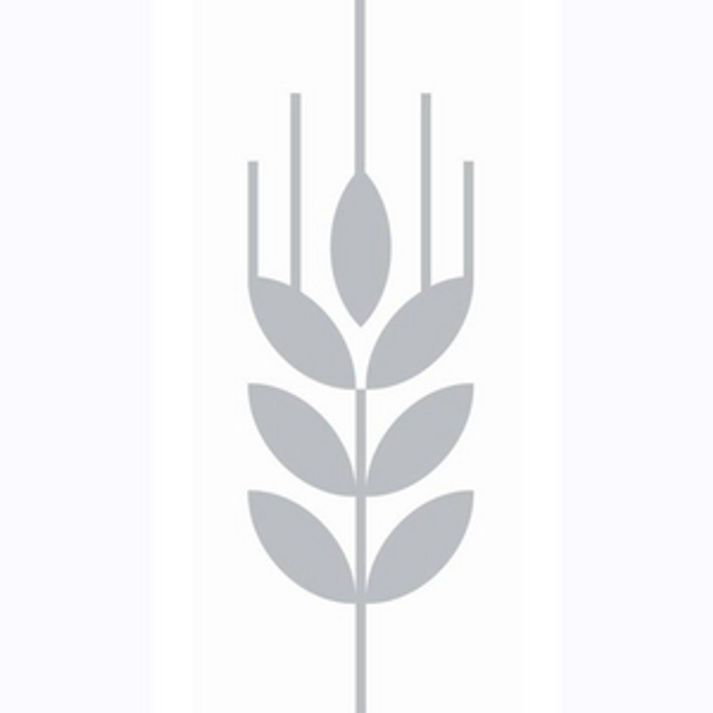 Corn Exchange Newbury Announces Summer Season of Indoor and Outdoor Events Corn Exchange Newbury Announces Summer Season of Indoor and Outdoor Events Image