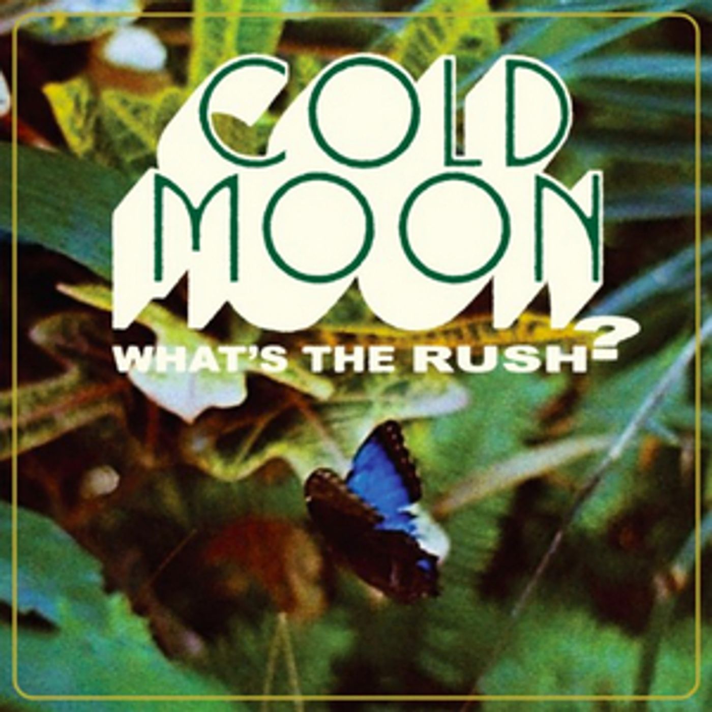 Cold Moon Releases Debut LP 'What's The Rush?'  Image