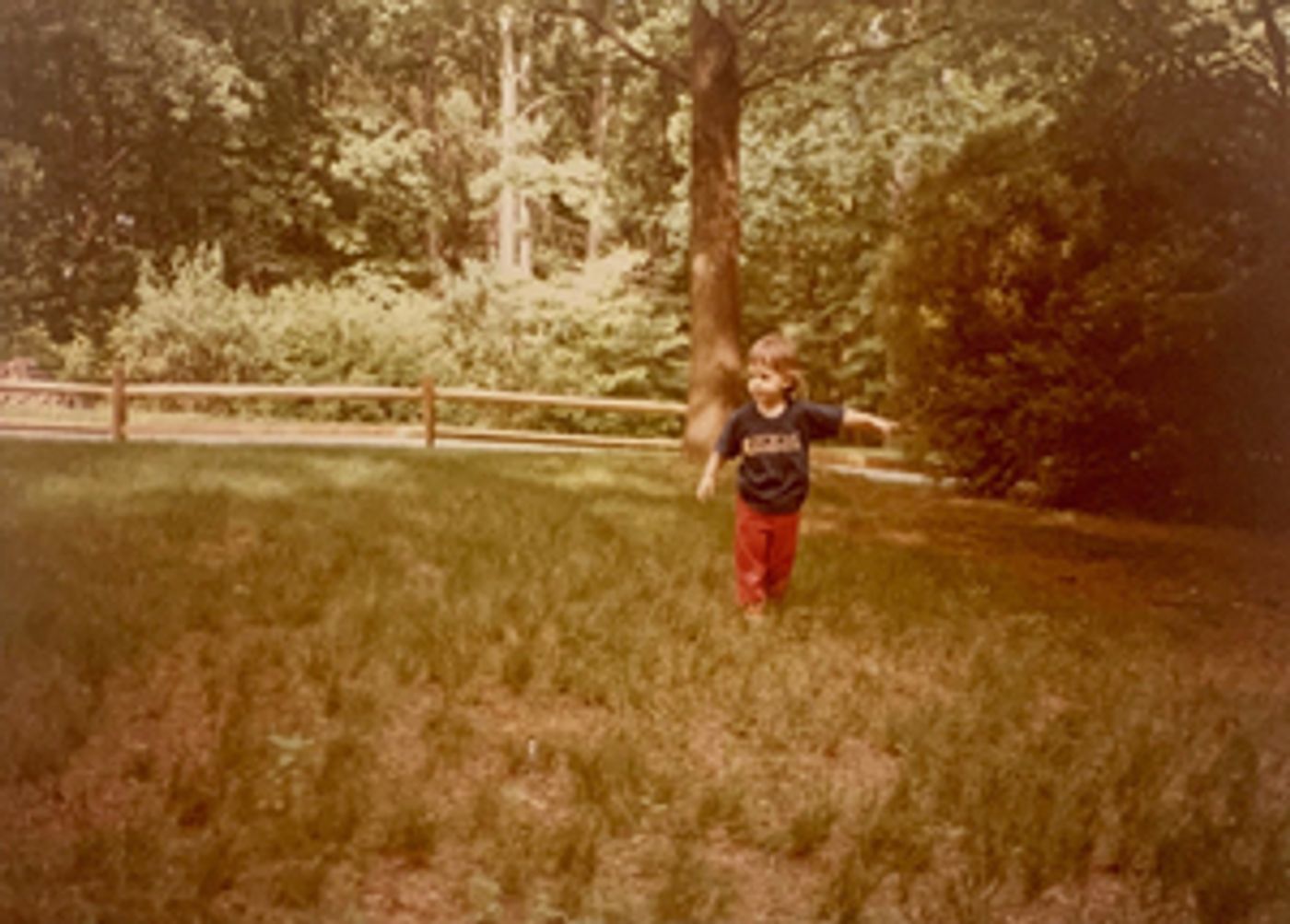 New Work by Leslie Cuyjet, Kennis Hawkins and Alex Rodabaugh to be Presented in The Kitchen's DANCE AND PROCESS  Image