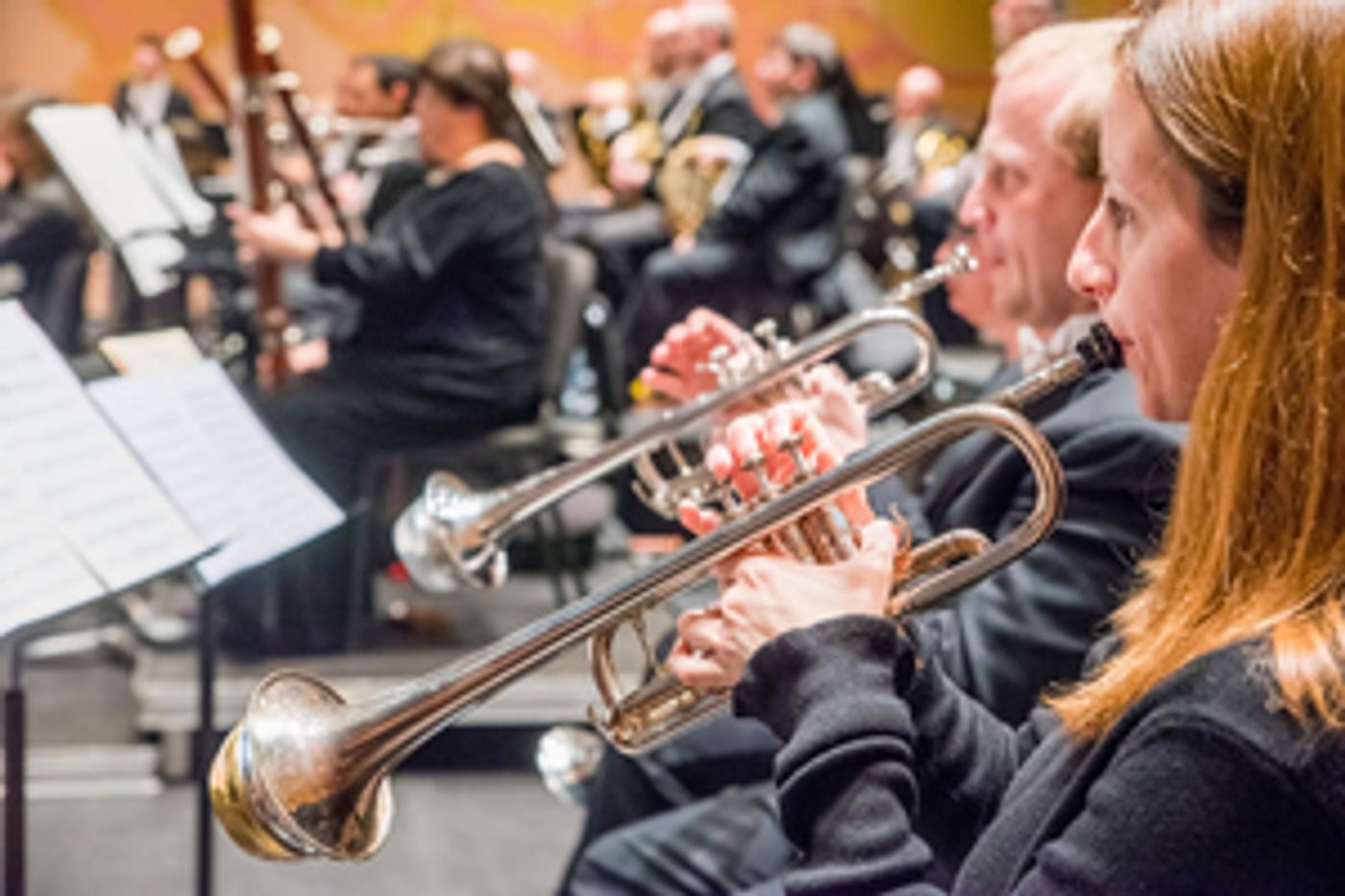 Knoxville Symphony Orchestra Will Perform Maryville Community Concert: Picnic in the Park Knoxville Symphony Orchestra Will Perform Maryville Community Concert: Picnic in the Park Image