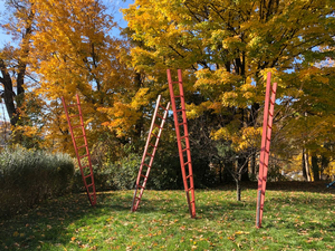 Kaatsbaan Cultural Park Announces Spring Festival Casting, Offers Online Access To Select Programs  Image