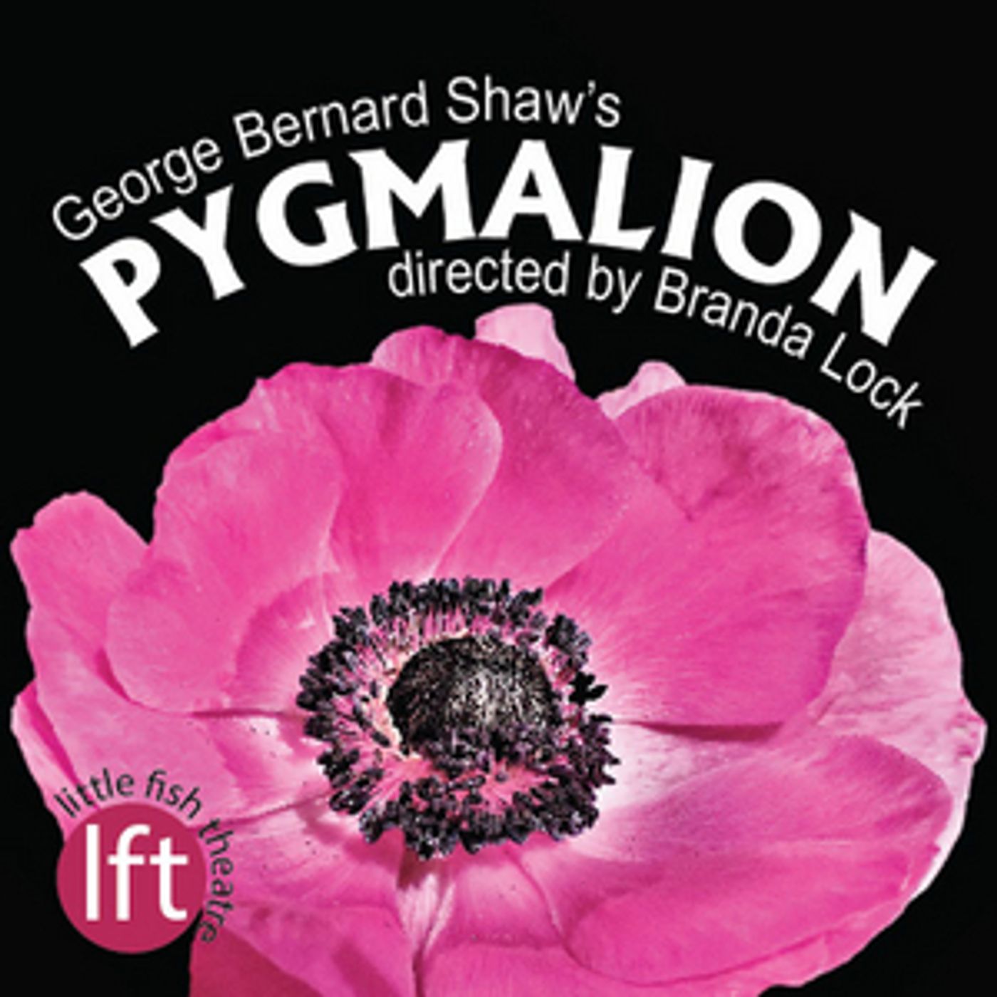 Interview: Imaginative Director Branda Lock of PYGMALION at Little Fish Theatre  Image