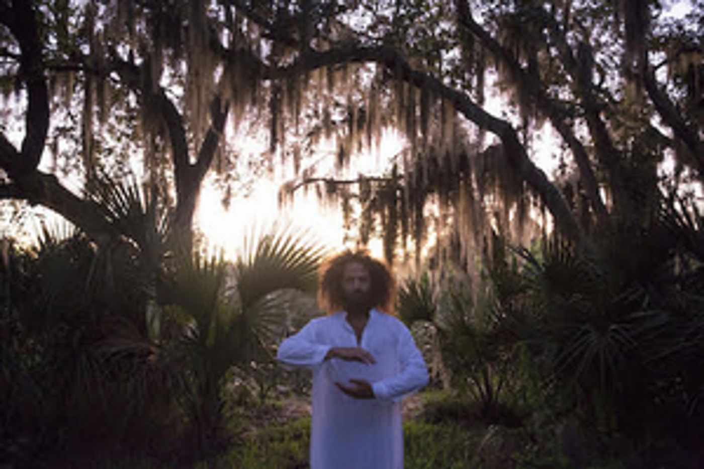 Briars of North America Announces New LP on Brassland  Image