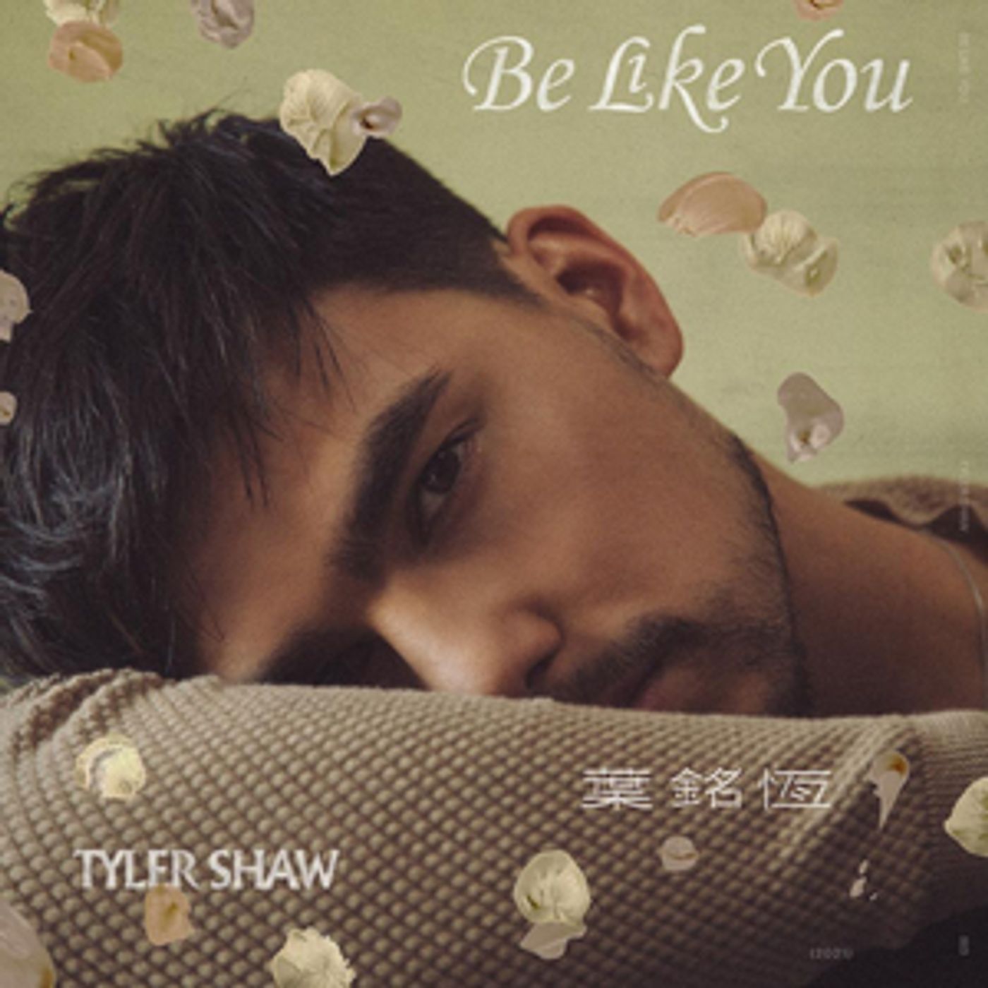 Tyler Shaw Releases New Single 'Be Like You' Tyler Shaw Releases New Single 'Be Like You' Image
