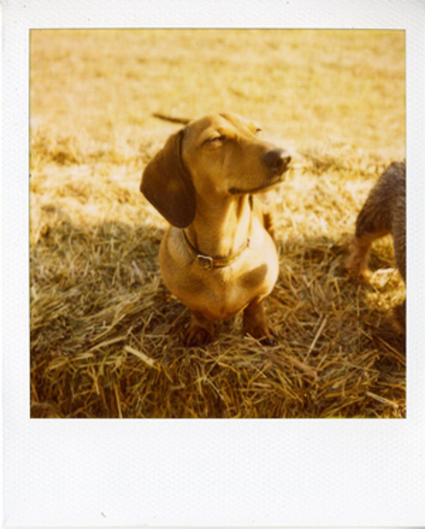 A BRIEF LIST OF EVERYONE WHO DIED Will Be Available to Watch For Free From The Finborough Theatre  Image